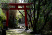 torii.jpg